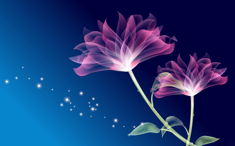 stem, 1080P, flower, leaves, light, partial shade, petals, abstract, flowers