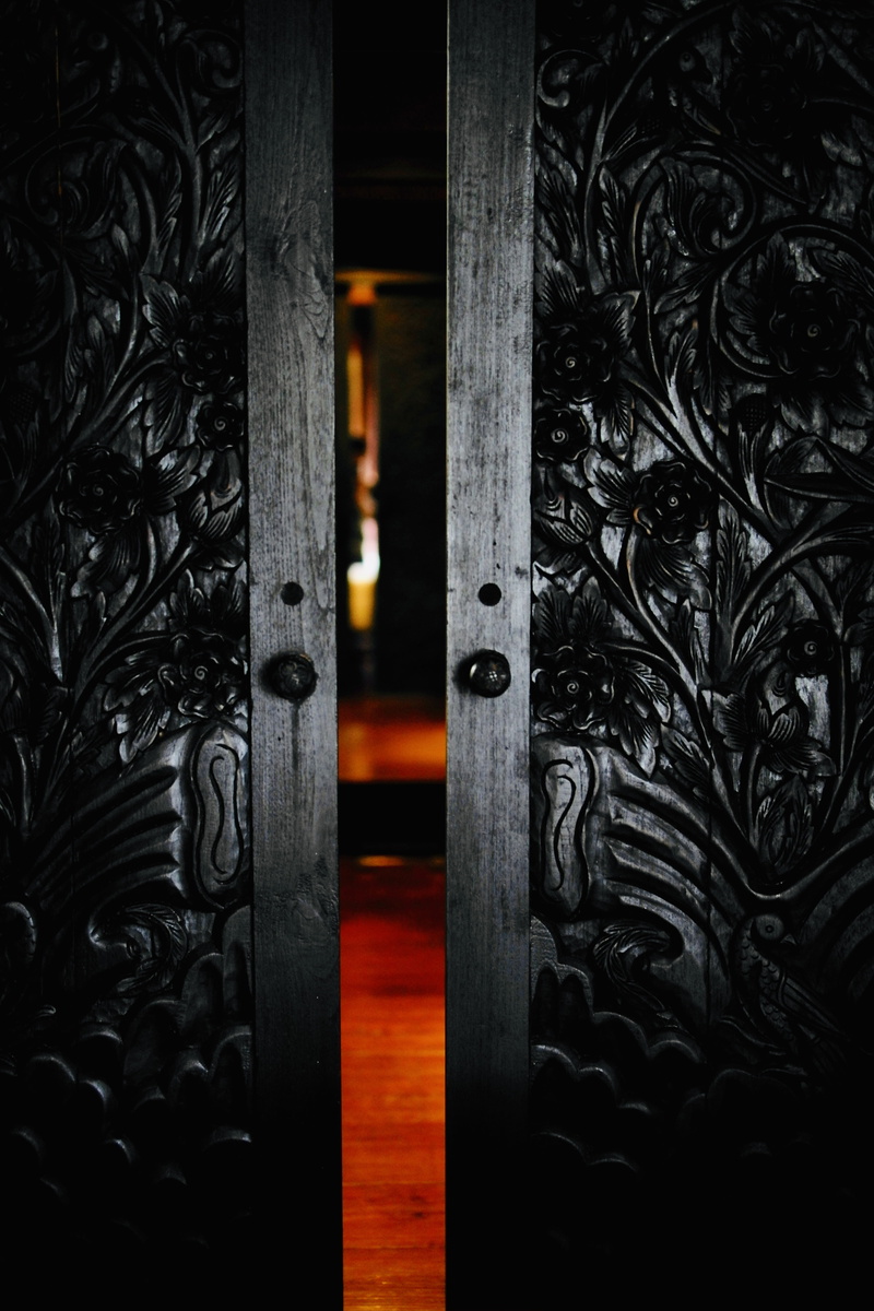 no people, opened, security, safety, closed, black, dark, protection, partially, art and craft, 5K, indoors, floral, built structure, metal, close-up