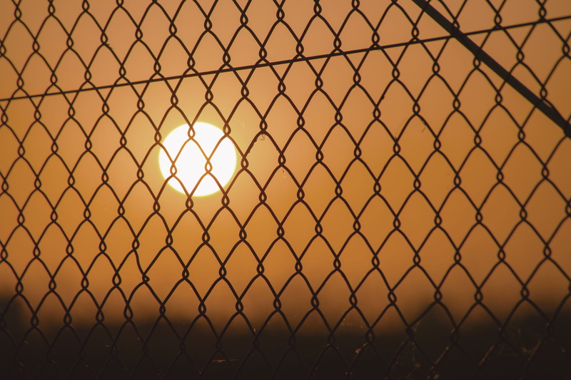 captivity, atmospheric, close, bird cage, fence, close-up, prison, focus on foreground, sunlight, sunset, cage, evening, backgrounds, sad, metal, day, chain