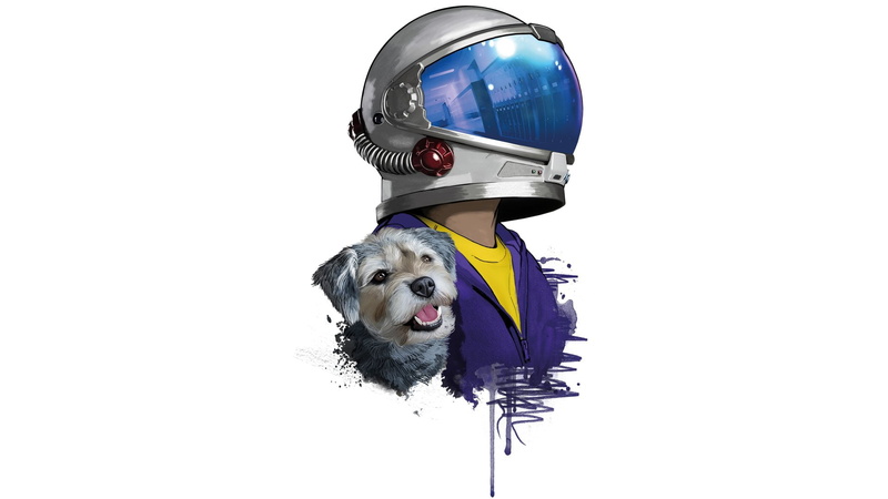 fun, Wonder, portrait, crash helmet, Movie, purebred dog, canine, Wonder (Movie), 1080P, mammal, one animal, Auggie Pullman, studio shot, Dog, sitting