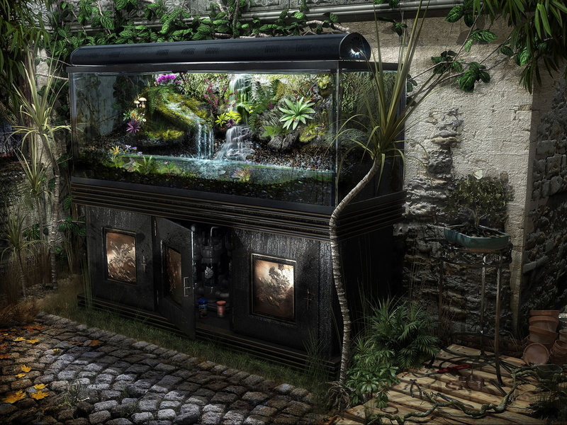 tank, glass, growth, clear, outdoors, nature, black, building, entrance, aquarium, cobblestone, street, solid, tree, no people, plants, built structure