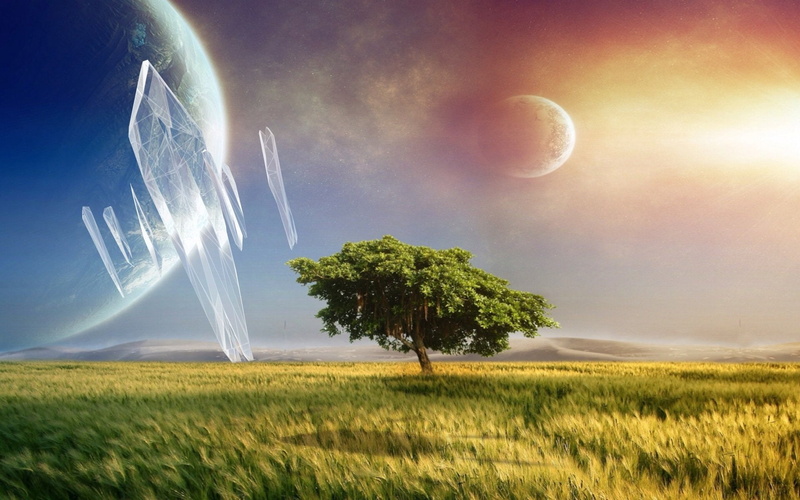 1080P, tree, Realism, abstract
