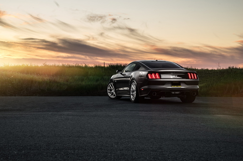 Sunrise, 1080P, Before, Muscle, Mustang, Ford, Rear, Garde, Car, Wheels, Sunset
