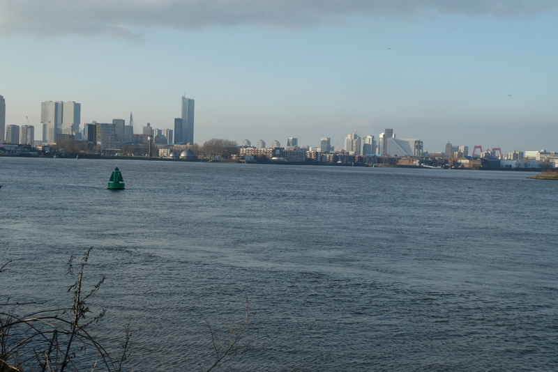 skyline, built structure, building exterior, office building exterior, view, financial district, nature, water, no people, building, waterfront, tower