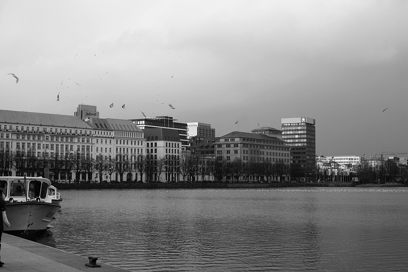 bird, water, passenger craft, building exterior, white, black photography, b w, hamburgensien, nature, port motifs, sky, vertebrate, harbour cruise, mode of transportation
