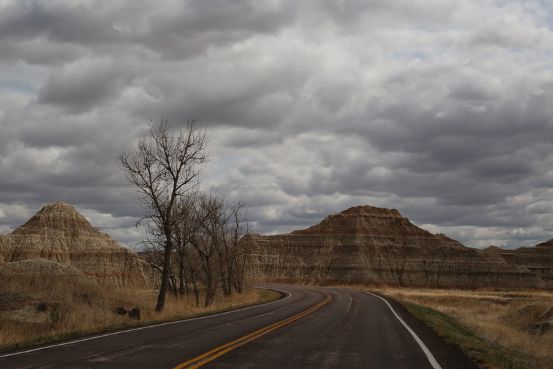 america, mountain, landscape, country road, transportation, hill, south dakota, road, diminishing perspective, tree, environment, mountains, rocks, scenics - nature