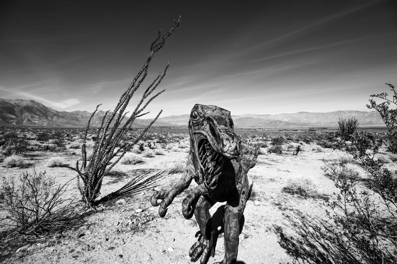 plant, transportation, usa, sunlight, travel, sky, mountain, overland, gray, cloud - sky, day, soil, anza borrego, no people, human, 2K, rock, scale, road