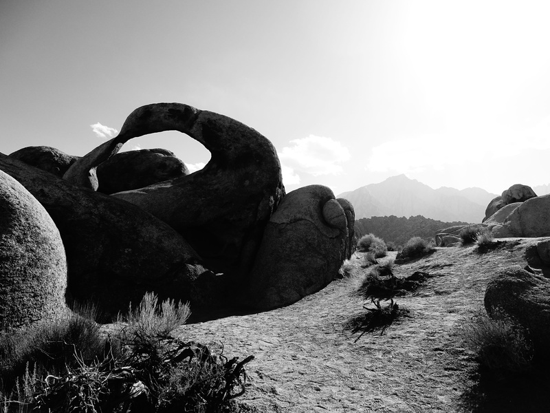 Black, animal themes, hiking, land, solid, 5K, field, Nature, mountain, adventure, sunlight, Rock, animal, non-urban scene, tranquil scene, Stone, experience