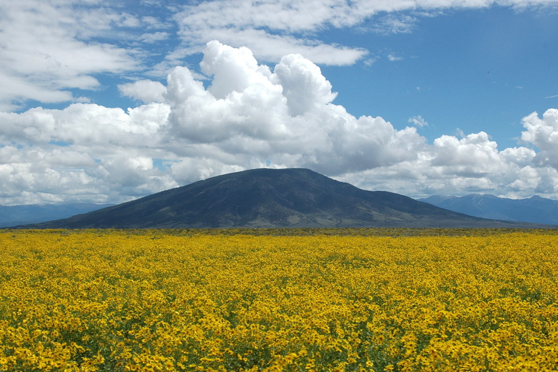 grande, photo, NLCS, oilseed Rape, BLM, yellow, landscape, national monument, history, r, nature, outdoors, black, monument  new mexico, del, mountain
