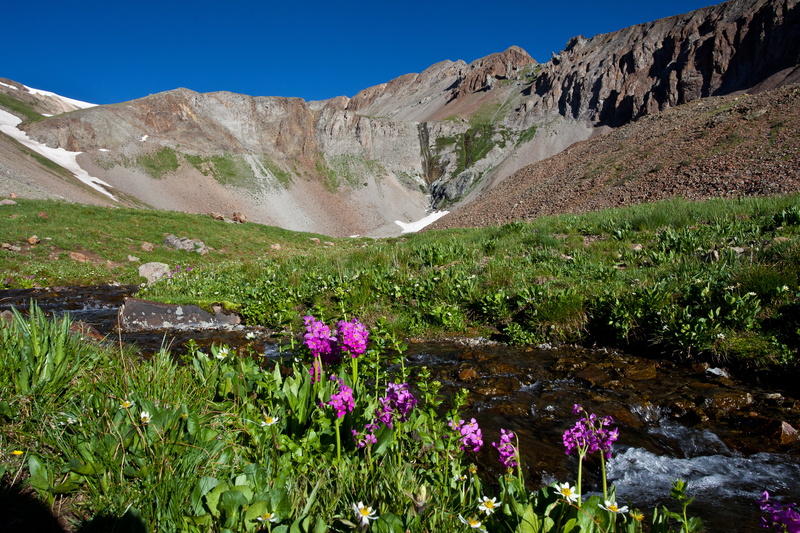 nature, conservation, meadow, 5K, daytime, Cloud Peak, lands, mountains, Red Cloud, brown, summer, flower, flowers, national, Bureau of Land Management