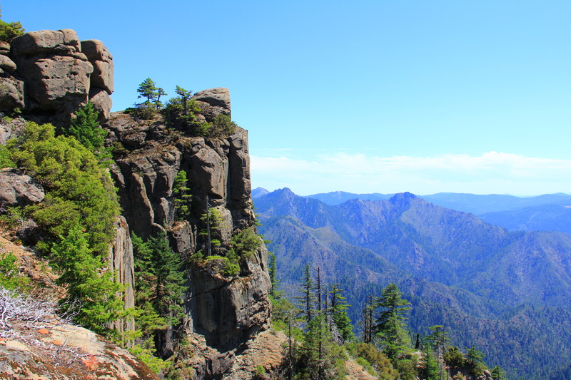 Northwest  Pacific, outdoors, forest, Wild and Scenic River, Lands  Department, 5K, Pacific Northwest, System, natural resources, America, Washington