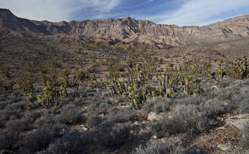 United States, no people, conservation, mountain range, bwick, Lands, mountain, environment, land, 5K, arid climate, eroded, day, rock formation, scenics - nature
