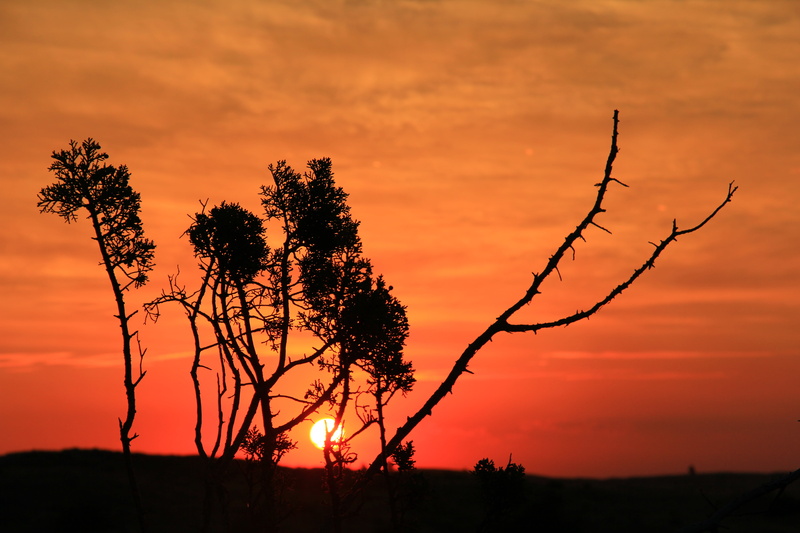Sunrise, Backpacking, 5K, System, National, Camping, sky, Wilderness Area, trees, Lands  Department, Solitude, tree, environment, Hunting, outdoors, ecology