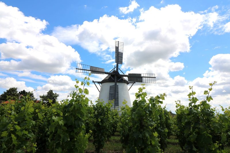 retz, windmill, don quixote, environment, turn, 4K, wind power, environmental conservation, cloud - sky, sky, low angle view, clouds, fuel and power generation