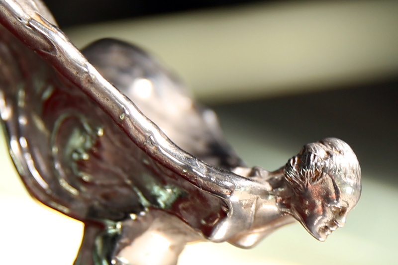 eleanor, spirit of ecstasy, shiny, distinguishing, indoors, status symbol, animal, food and drink, selective focus, food, one animal, automobile, focus on foreground