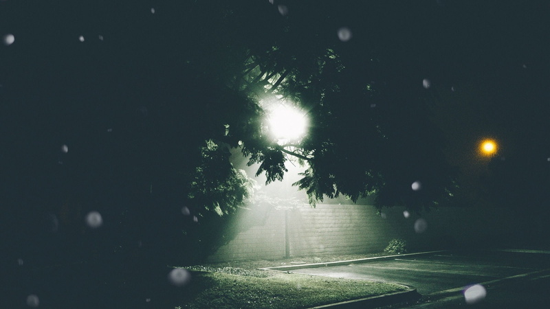 street light, city, mode of transportation, illuminated, tree, motor vehicle, glowing, lens flare, outdoors, light, road, parking lot, green, growth, car