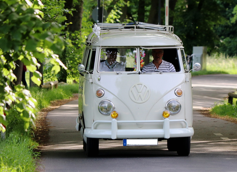 land Vehicle, vw, plant, Oldtimer, car, Auto, outdoors, incidental people, Vw Bus, green color, road, nature, city, vintage car automobile, focus on foreground