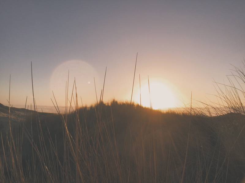 sunlight, vsco, 2K, sky, no people, sunset, photo, growth, beachlife, idevice, beauty in nature, grass, idyllic, sea, earth, editedoniphone, beach, tranquil scene