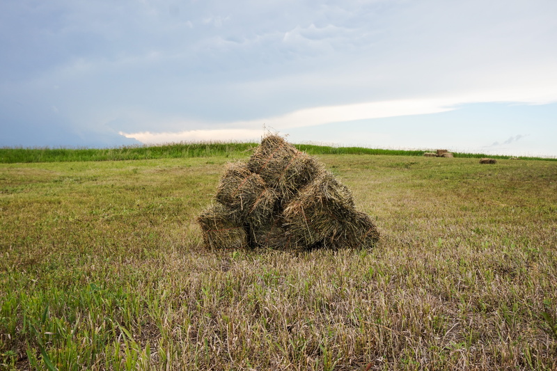 beauty in nature, no people, 5K, nature, photo, cloud - sky, sky, praries, animal themes, farm, animal, environment, outdoors, scenics - nature, tranquil scene