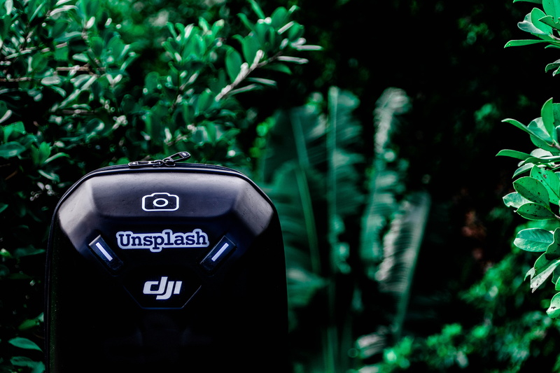 no people, communication, tree, green color, water, day, aquarium, case, growth, land, dji, guidance, forest, black, photo, ivy, chamarel, flora, technology