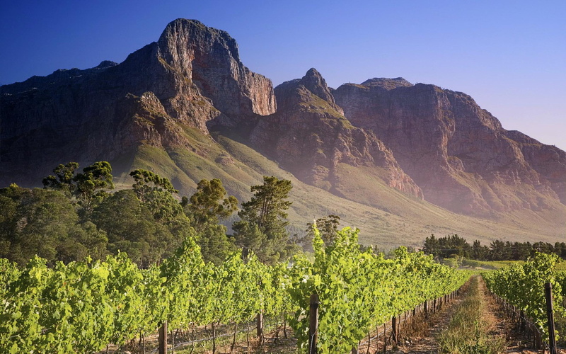 1080P, nature, mountains, green, microsoft, land, seven, globalization, windows, windows 7, cliff, za, beatiful trees