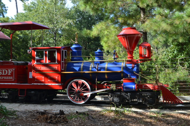 birth, park, train, tree, engine, engineer, fun, rubberneck car, stationary, kids, observation car, caboose, mode of transportation, cart, colorful, toys
