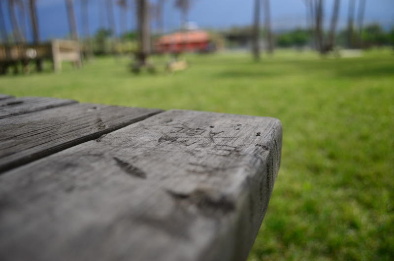 day, depth of field, outdoors, wooden post, seat, nature, park - man made space, wood, close-up, park, tree, plant, focus on foreground, sunlight, surface level