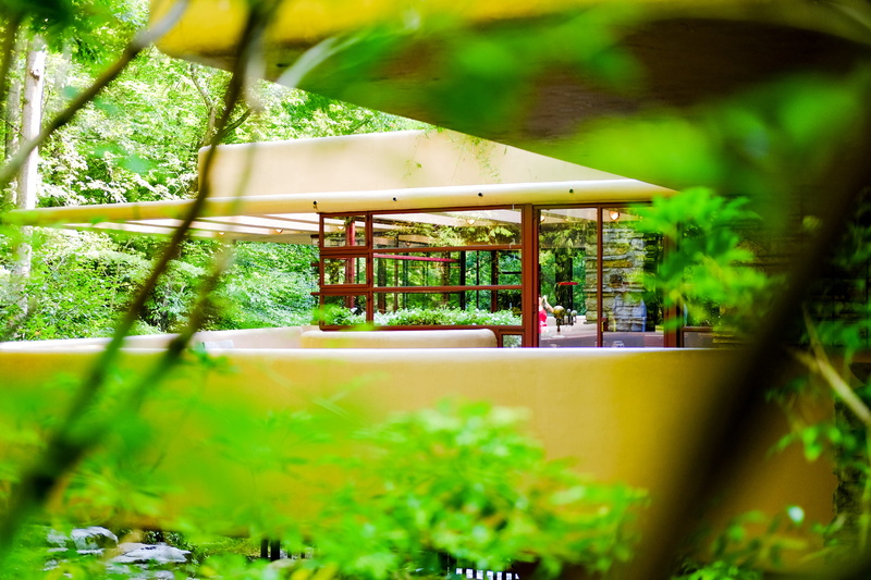 ochre, tree, mill run, built structure, harmony, outdoors, nature, growth, trees, day, wood - material, greenery, sunlight, focus on background, no people