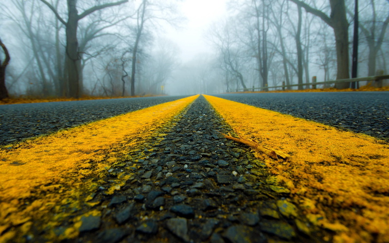 weather, transportation, scenics - nature, nature, autumn, landscape, green Color, tranquility, outdoors, beauty In Nature, footpath, direction, close-up