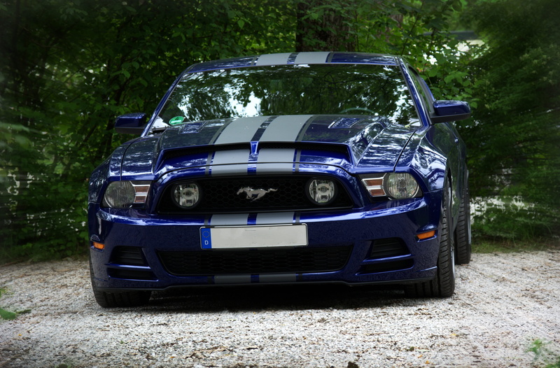 transportation, no people, outdoors, grass, parking, auto, plant, land, gray, pkw, ford mustang, 5K, growth, ford, headlight, front, land vehicle, mode of transportation