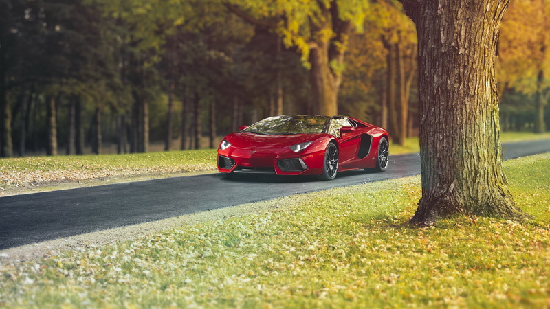 mode of transportation, hq, outdoors, tree trunk, growth, supercar, no people, green color, surface level, transportation, sunlight, forest