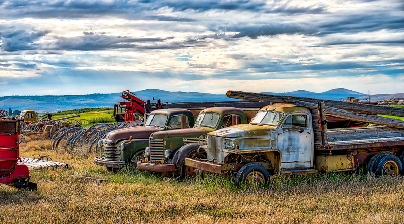 motor vehicle, vehicle, abandoned, truck, obsolete, california, rust, pickup truck, antique, plant, 4K, parked, machine, person, land vehicle, assorted