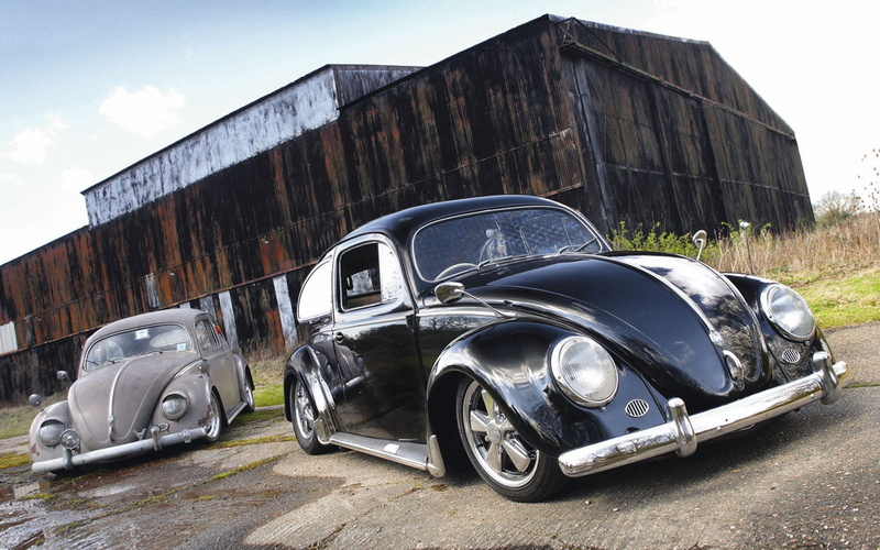 Volkswagen, art, bugs, hd, cars, beetle, animals, x, 720P