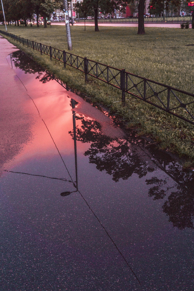 wet, reflection, built structure, puddle, nature, footpath, railing, architecture, real people, high angle view, city, day, 5K, plant, outdoors, sidewalk