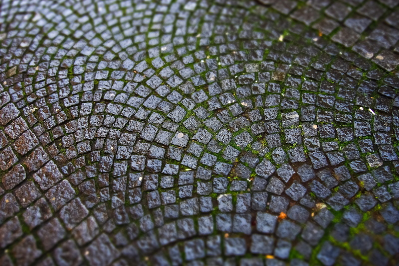purity, moist, outdoors, city, stone, drop, pavement, day, backgrounds, selective focus, patch, cobblestones, road, no people, background, paved, sidewalk