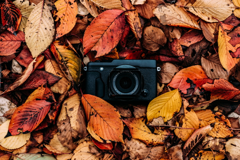 brown, maple leaf, fujifilm, fall, dried, red, camera - photographic equipment, backgrounds, leaf, plant part, outdoors, photographic equipment
