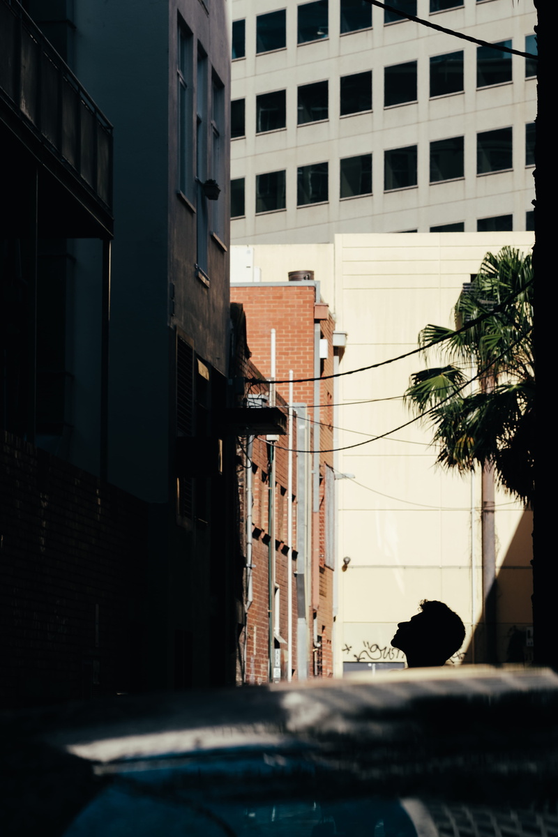 residential district, nature, palm, head, xt2, 90mm, man, fujifilm, looking, shadow, sunlight, compression, building exterior, melbourne, 5K, fujinon