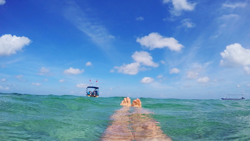 4K, horizon, birthday, mammal, day, transportation, holiday, sea, beauty in nature, leisure activity, vacations, beach, funny, breathe, joy, invitation