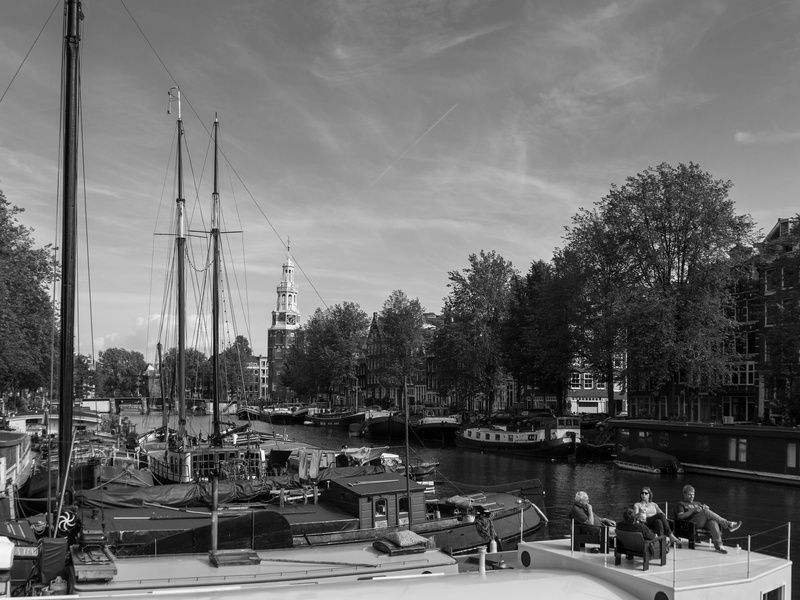 mode of transportation, relaxation, marina, plant, city view, water, moored, no people, boats, transportation, built structure, cloud - sky, sky, pole