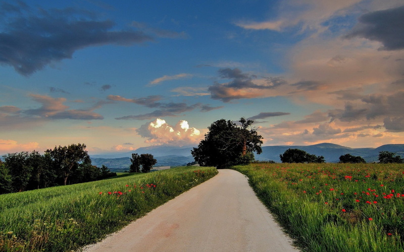 tranquil scene, sky, growth, tree, plant, sunset, land, field, diminishing perspective, outdoors, painting, nature, brown, tranquility, no people, environment