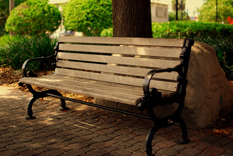 paving stone, dunedin, wood - material, 4K, outdoors, street, park - man made space, united states, park bench, relaxation, chair, seat, empty, stone