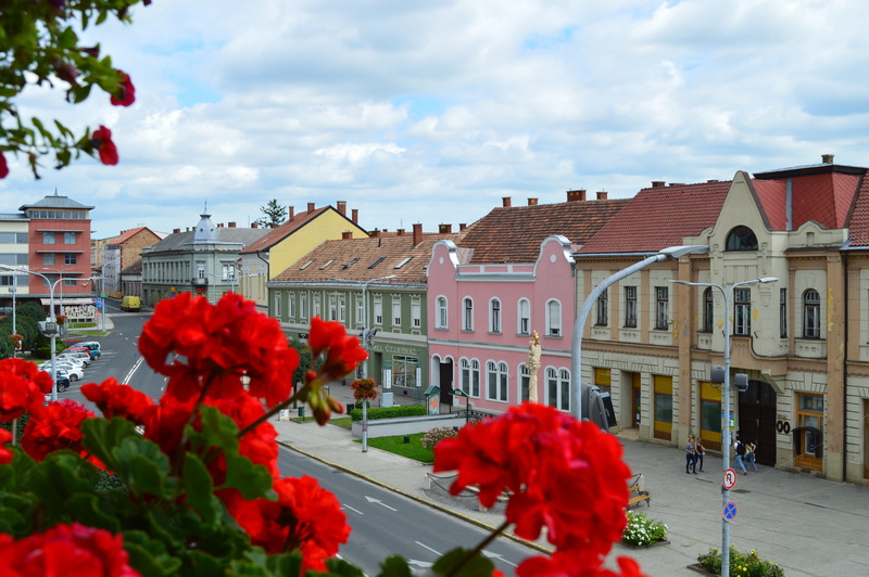 street, flowering plant, growth, main market square, sky, incidental people, day, freshness, vulnerability, architecture, building, fragility, red, 4K