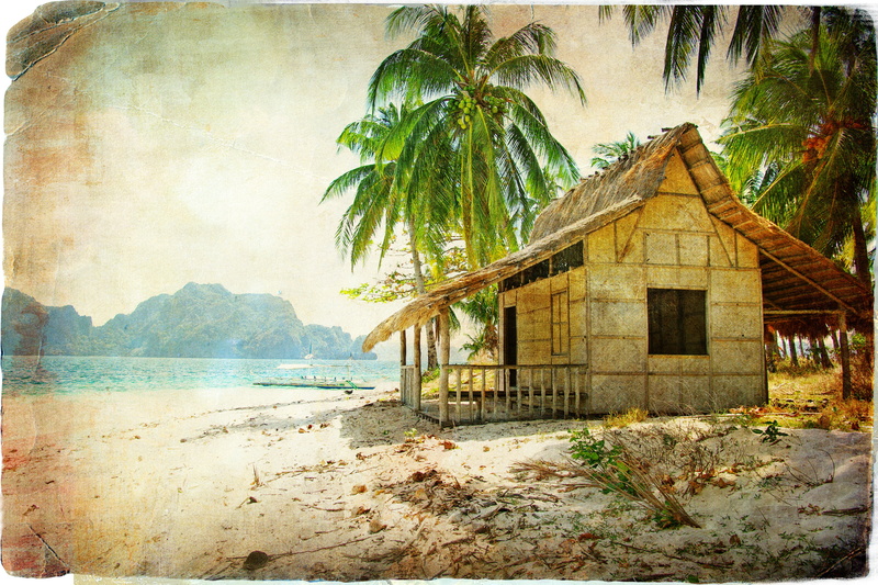 caribbean Sea, coastline, travel, idyllic, coconut, old, tropical Climate, travel Destinations, water, nature, coconut Palm Tree, sunlight, forest, hut