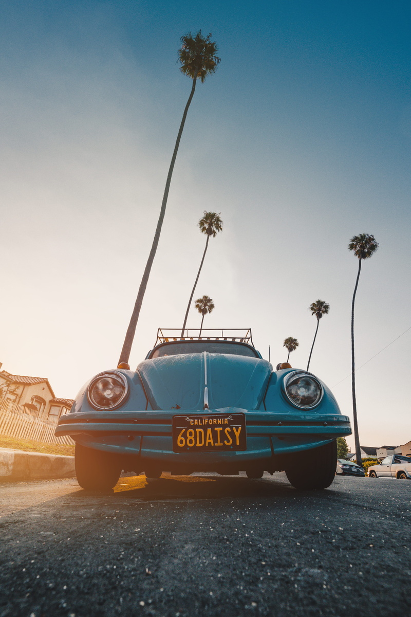 palm tree, palm, sunrise, travel Destinations, color Image, mode of Transport, classic, blue, sunlight, volkswagen, city Life, city, travel, old-fashioned