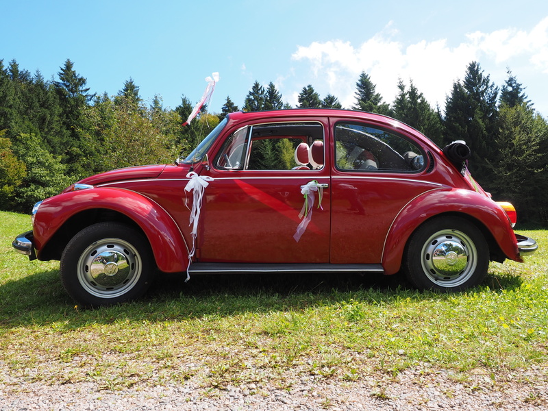 pkw, loop, land vehicle, vw, lights, 4K, nature, retro styled, blinker, vw beetle, bumper, growth, sky, vintage car, convertible, field, transportation
