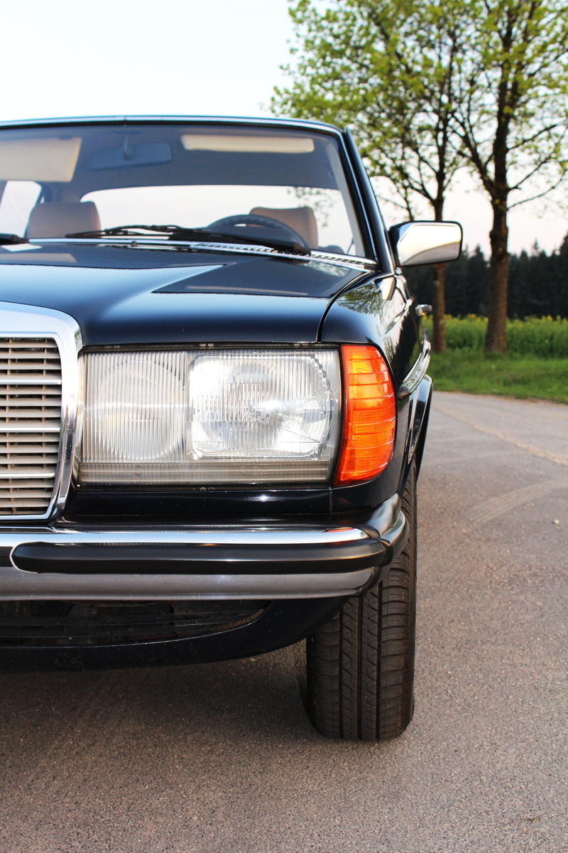 plant, travel, stationary, car age, outdoors, car, no people, vehicle, mercedes, transportation, dare, blue, exterior mirrors, oldtimer, parking, luxury