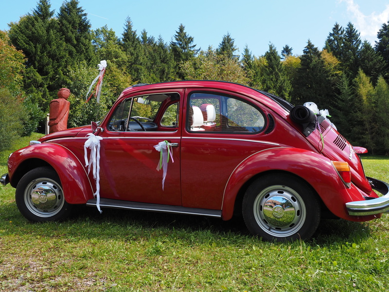spotlight, blinker, tree, vehicle, bridal car, volkswagen, mode of transportation, wheel, wedding car, obsolete, convertible, vw, old-fashioned, beetle