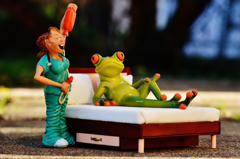 sweet, males, childhood, small, men, funny, playing, eyed, focus on foreground, nurse, representation, child, boys, red, fun, bed, toy, frog, maintain