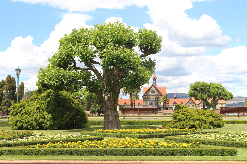 blue sky, clouds, good weather, green color, museum, sky, maintained, flowering plant, plant, green tree, residential district, outdoors, park, house, tree
