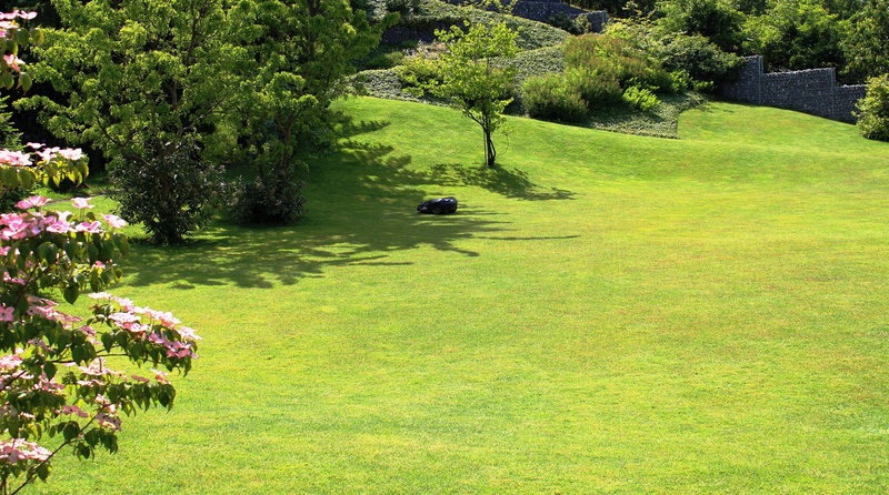 plant, large, 5K, paving, garden, tree, shrubs, beauty in nature, lake, flower, trees, growth, tranquility, grass, day, green color, sun, scenics - nature